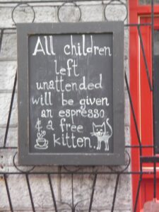 5 Essential Tips for Pet Care