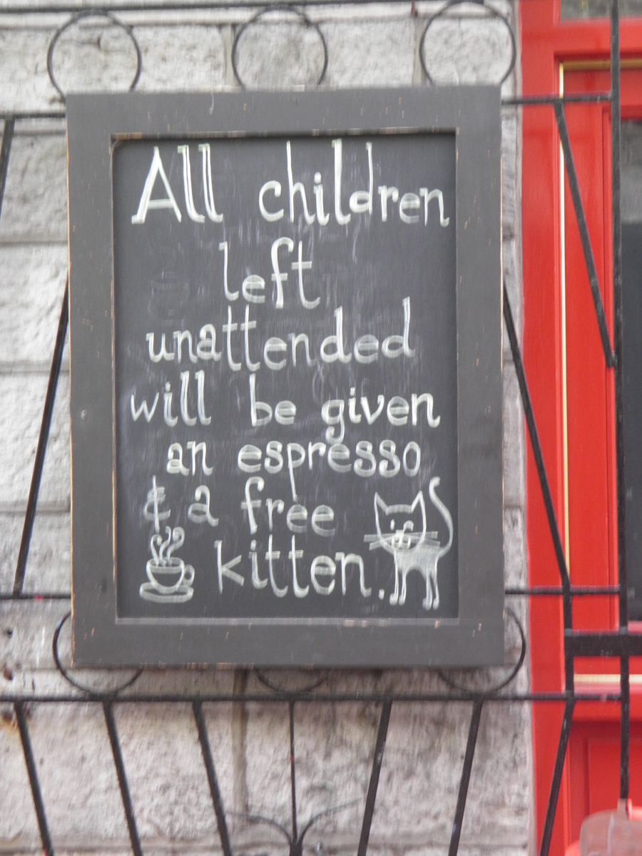 Photo Pet Care