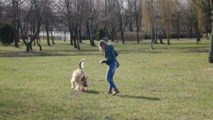 Effective Dog Training Tips for Obedient Pets