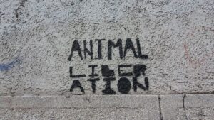 Unraveling the Mysteries of Animal Behavior