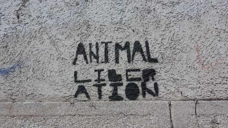 Unraveling the Mysteries of Animal Behavior