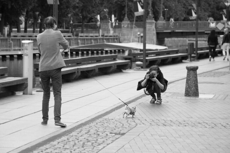Mastering Pet Training: A Guide to Success