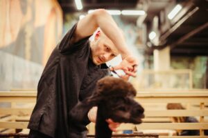 Top Tips for a Healthy Pet: Keeping Your Furry Friend Happy and Well