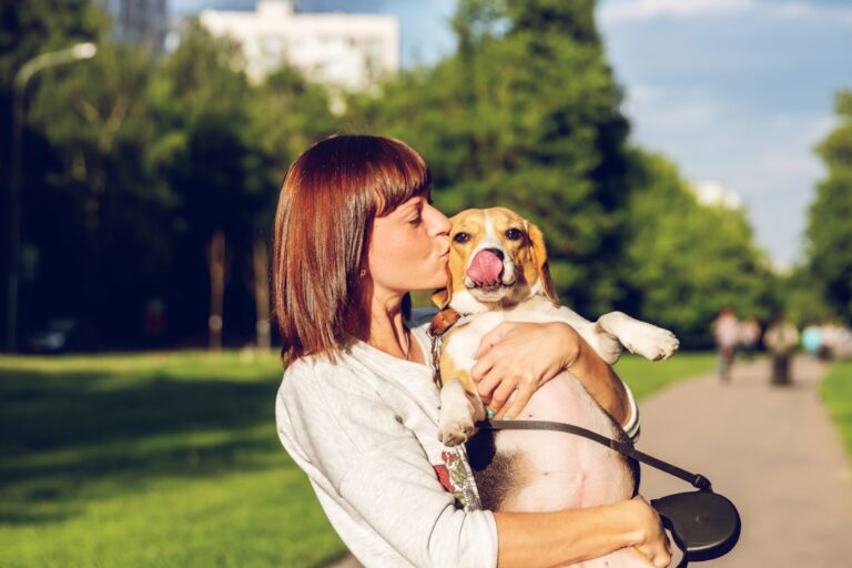 Discover Dog Classes Near Me for Training Success