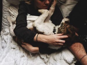 Keeping Pets and Animals Happy and Healthy