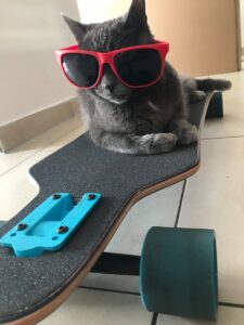 Finding the Best Emergency Vet Near Me