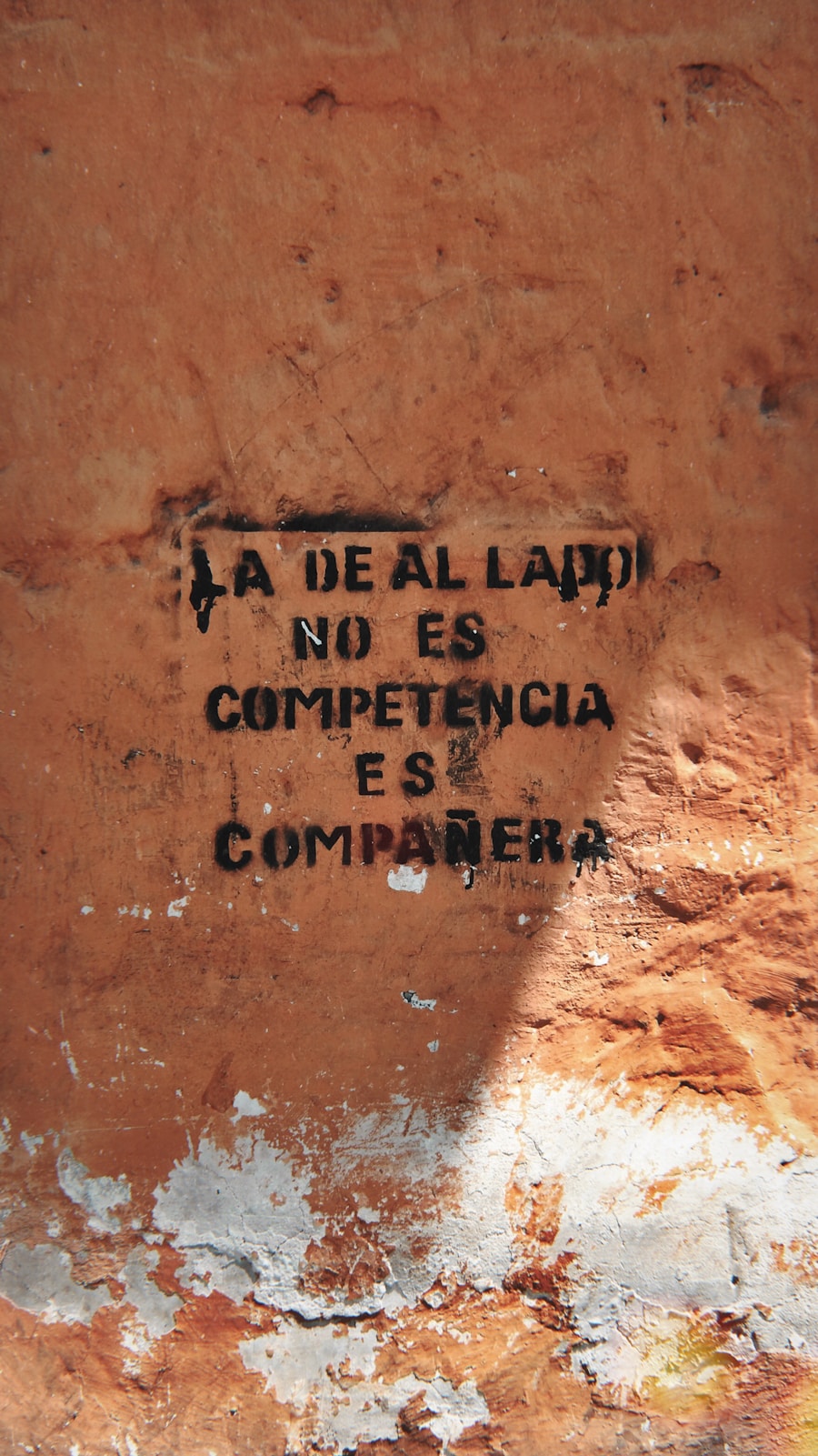 Photo Comportamiento animal