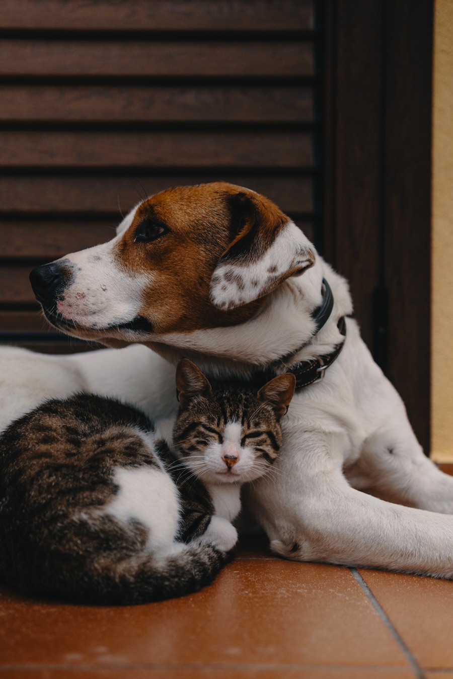 Photo Types of Pets