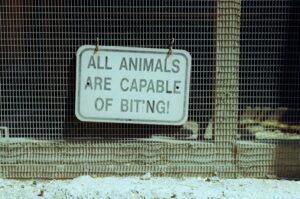 Understanding Animal Behaviors: From Communication to Survival