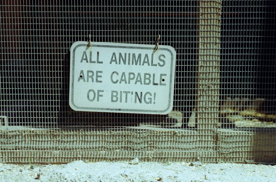 Photo Animal behaviors
