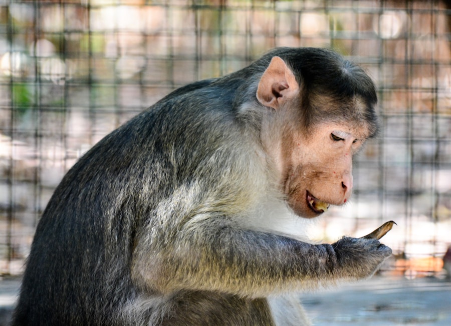 Photo Animal behavior