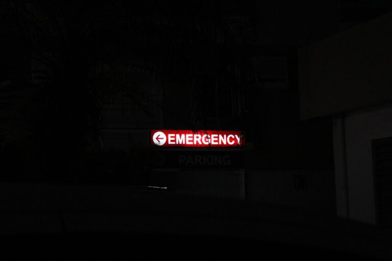 Find Veterinary Emergency Near Me