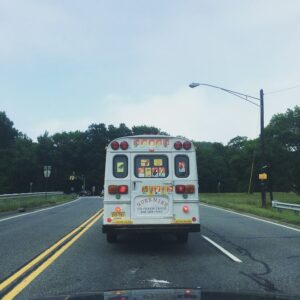 Find Veterinarians Near Me for Expert Pet Care